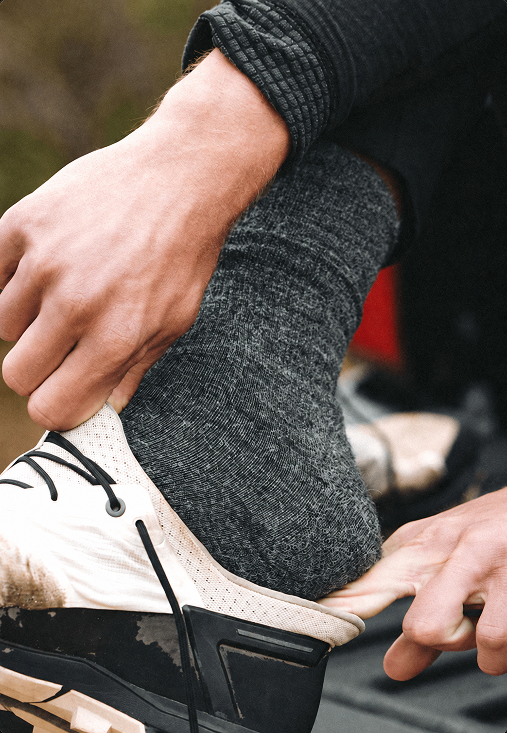 Everyday Crew Socks